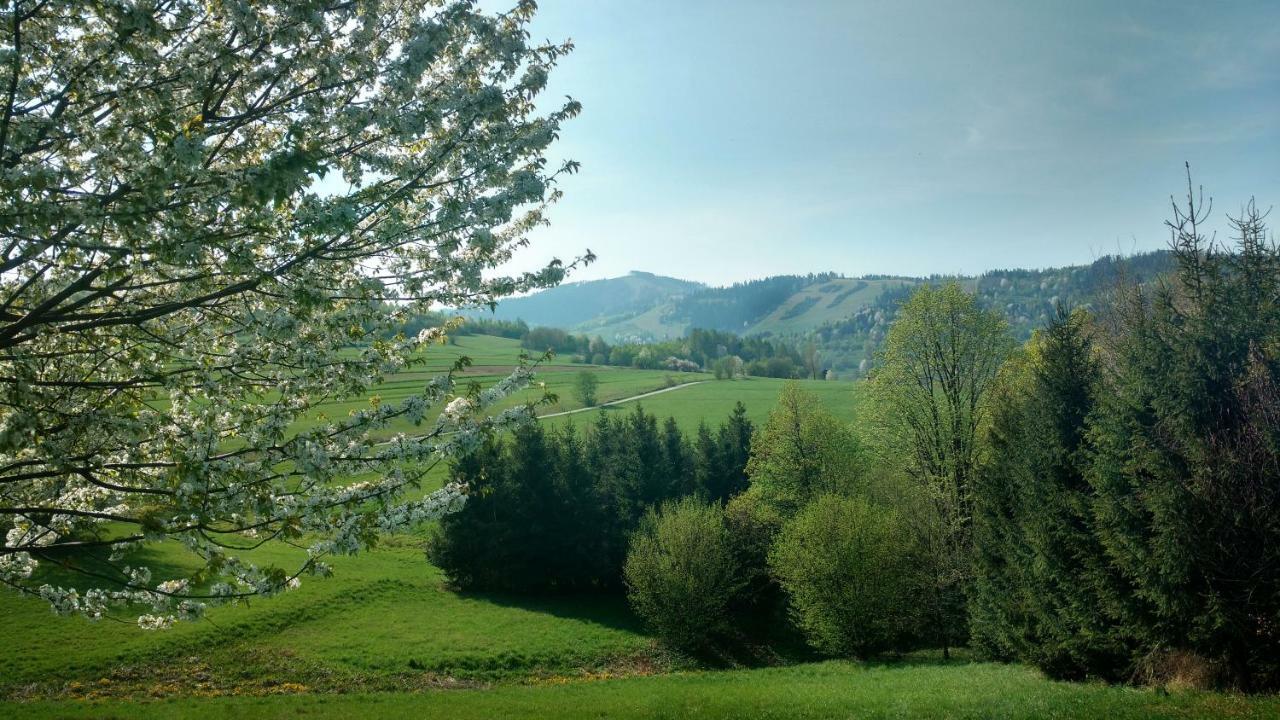 Noclegi Przy Szlaku Agroturystyka Zabnica エクステリア 写真