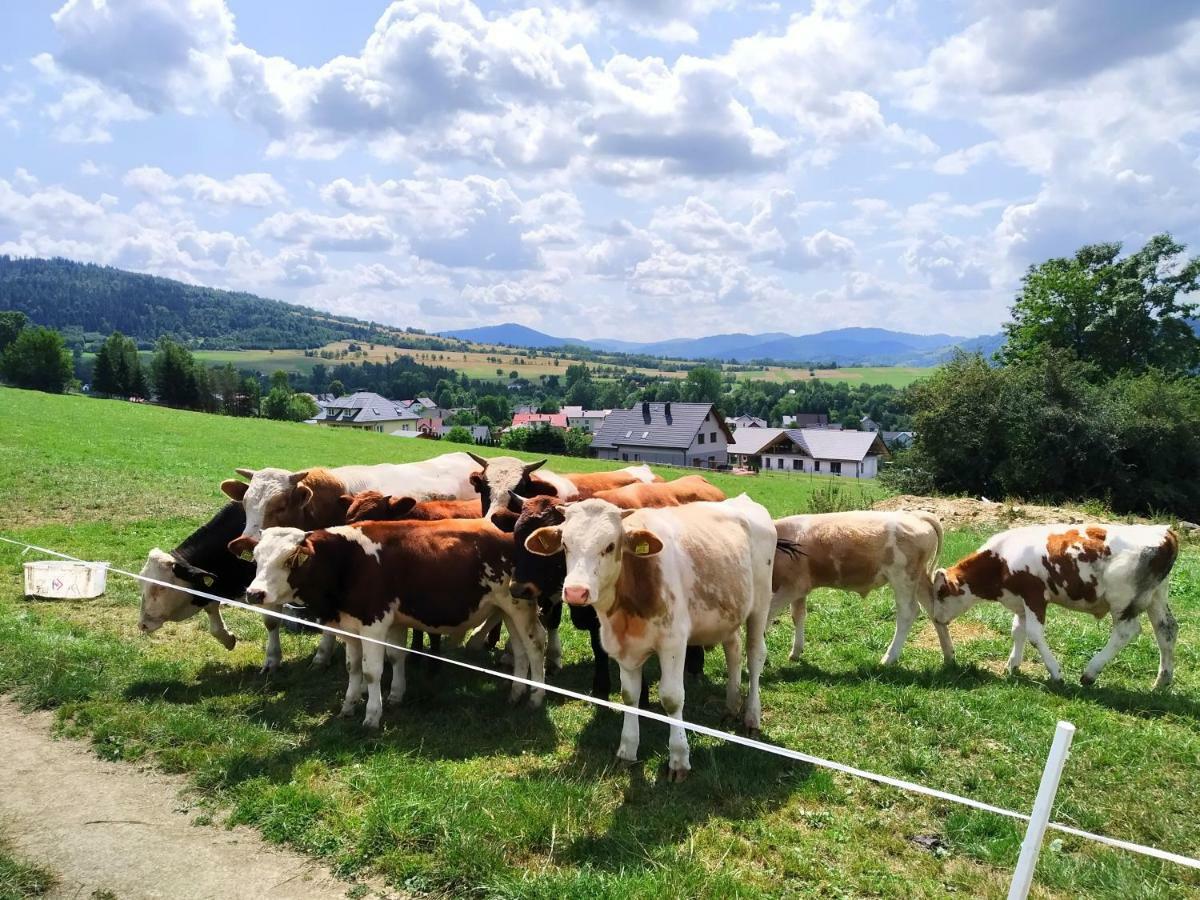Noclegi Przy Szlaku Agroturystyka Zabnica エクステリア 写真