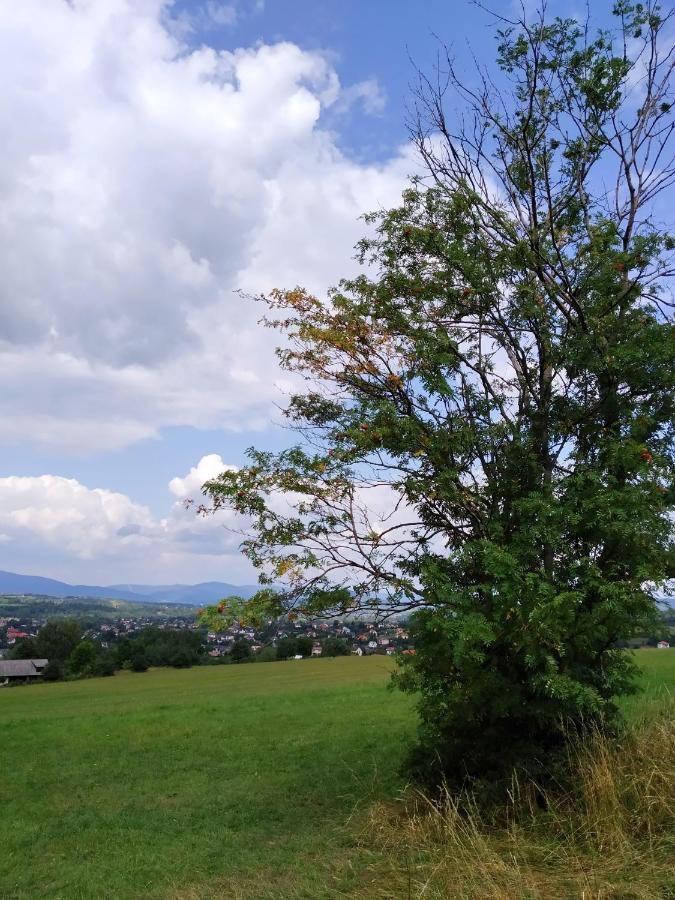 Noclegi Przy Szlaku Agroturystyka Zabnica エクステリア 写真