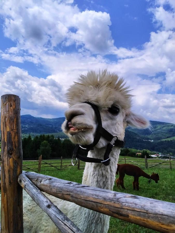 Noclegi Przy Szlaku Agroturystyka Zabnica エクステリア 写真